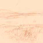 Sepia sketch