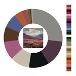 Colour wheel / palette