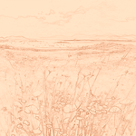 Sepia sketch