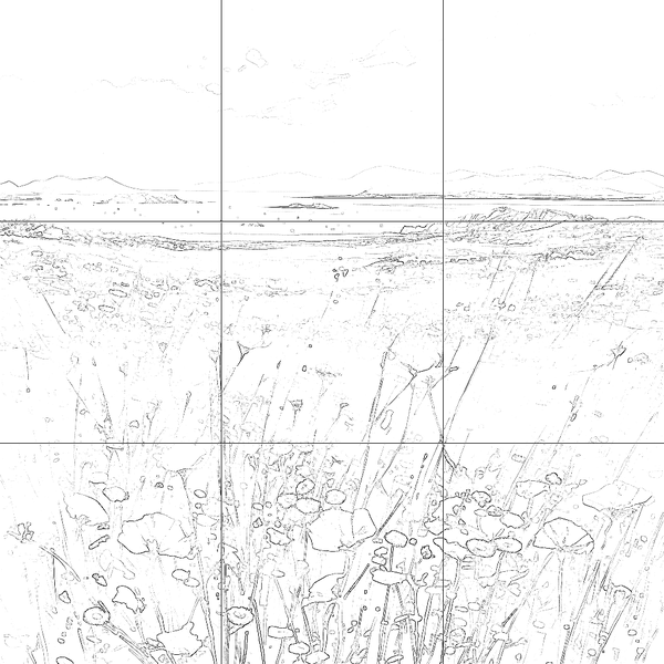 Sketch with grid