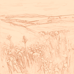 Sepia sketch