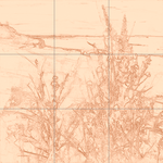 Sepia sketch with grid