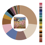 Colour wheel / palette