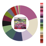 Colour wheel / palette