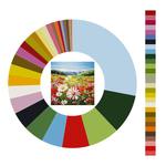 Colour wheel / palette