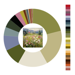 Colour wheel / palette