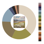 Colour wheel / palette