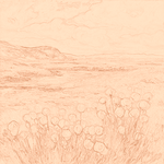 Sepia sketch