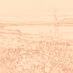 Sepia sketch