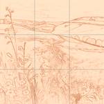 Sepia sketch with grid