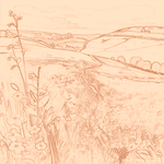 Sepia sketch