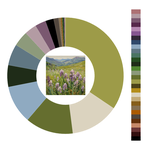 Colour wheel / palette