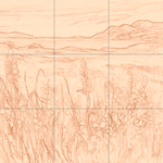 Sepia sketch with grid