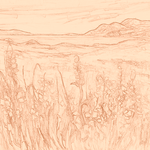 Sepia sketch