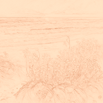 Sepia sketch