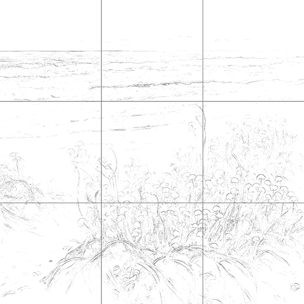 Sketch with grid