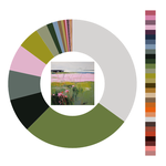 Colour wheel / palette