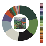 Colour wheel / palette