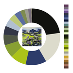 Colour wheel / palette