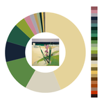 Colour wheel / palette