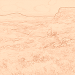 Sepia sketch