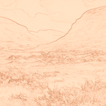 Sepia sketch