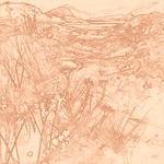 Sepia sketch