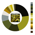 Colour wheel / palette