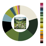 Colour wheel / palette