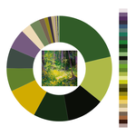 Colour wheel / palette