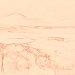 Sepia sketch