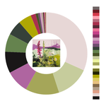 Colour wheel / palette