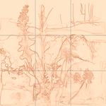 Sepia sketch with grid