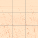 Sepia sketch with grid