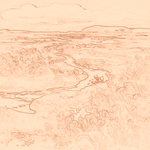 Sepia sketch