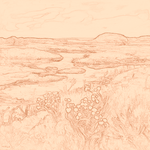 Sepia sketch