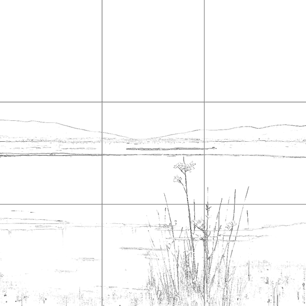 Sketch with grid