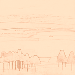 Sepia sketch