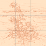 Sepia sketch with grid