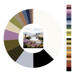 Colour wheel / palette