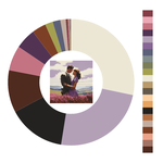 Colour wheel / palette