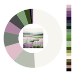 Colour wheel / palette