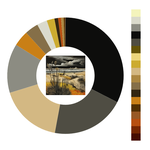 Colour wheel / palette