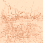 Sepia sketch