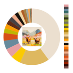 Colour wheel / palette