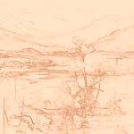 Sepia sketch