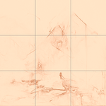 Sepia sketch with grid