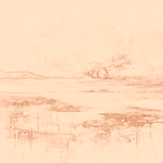 Sepia sketch