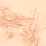 Sepia sketch