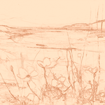 Sepia sketch